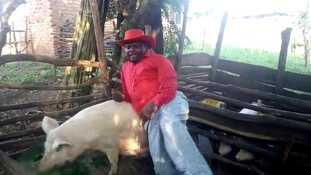 VIDEO: Kayibanda's Fresh Daddy challenge goes south, comedian ends up under  a giant pig's boobs - Matooke Republic
