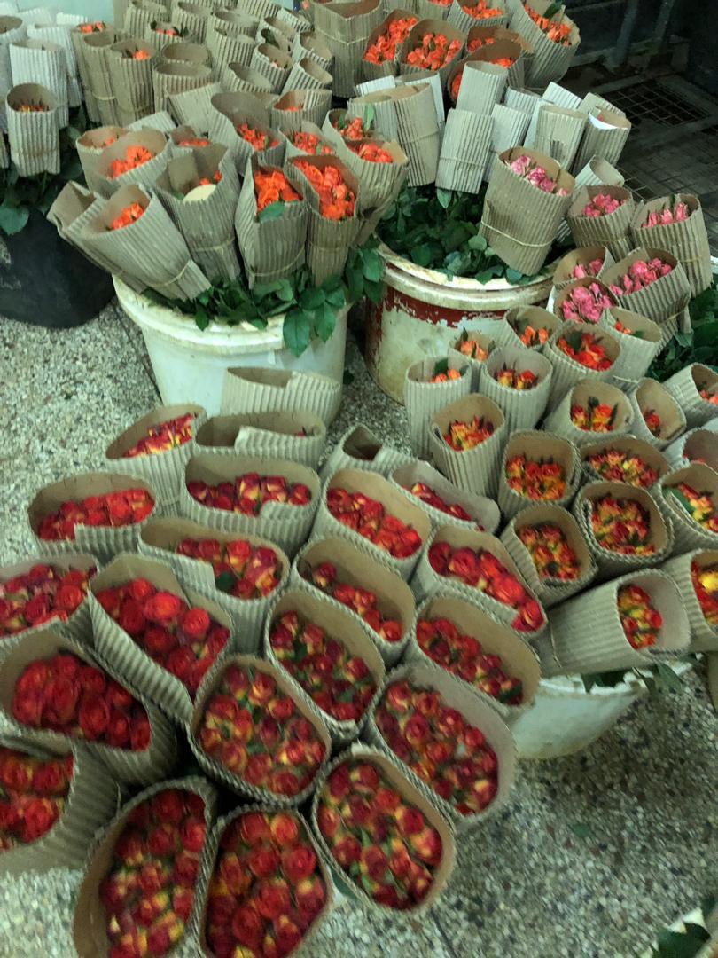 Rosebud pioneers Ugandan flower exports to China Matooke Republic