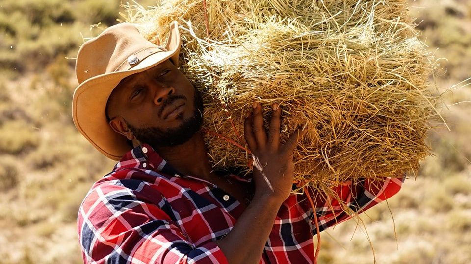 Image result for Bebe Cool