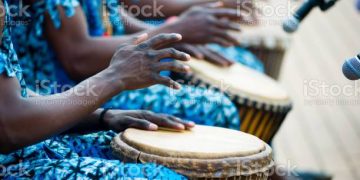 hands of African drummers in blue costumes and traditional drums in front of microphones at a performance